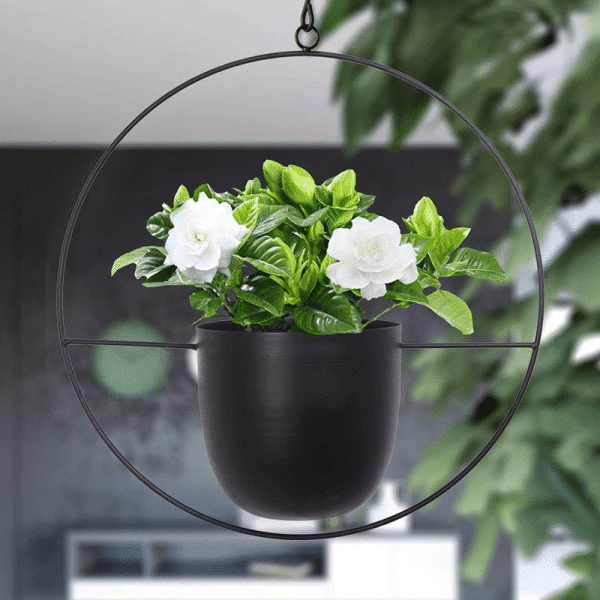 Iron Hanging Hydroponic Plant Hanging Orchid Pots 8